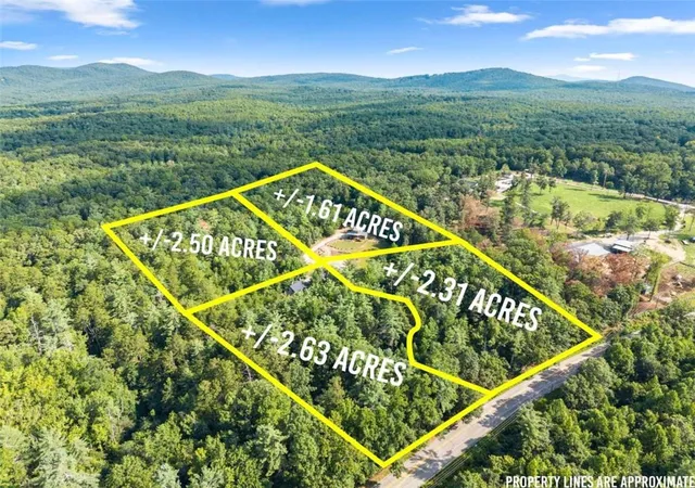 Photo 3 of Single family home for sale at 4061 Historic Old Hwy 441, Clarkesville, GA 30523 | MLS# 7822608 | Listing updated on 2026-08-17