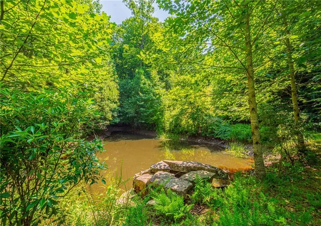 Photo 3 of Land for sale at 00 Old Cherokee Way, Dawsonville, GA 30534 | MLS# 7799777 | Listing updated on 2026-07-28