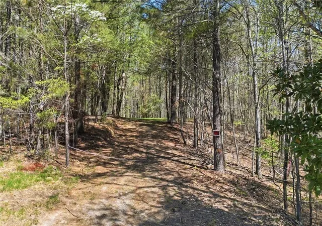 Homes for sale in Ball Ground, GA | 3102 Flatbottom Rd, Ball Ground, GA 30107 | MLS# 7752832