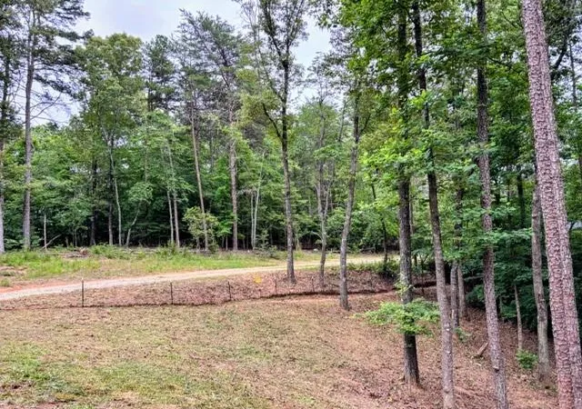 Homes for sale in Dahlonega, GA | 2182 Ben Higgins Rd, Dahlonega, GA 30533 | MLS# 7764310