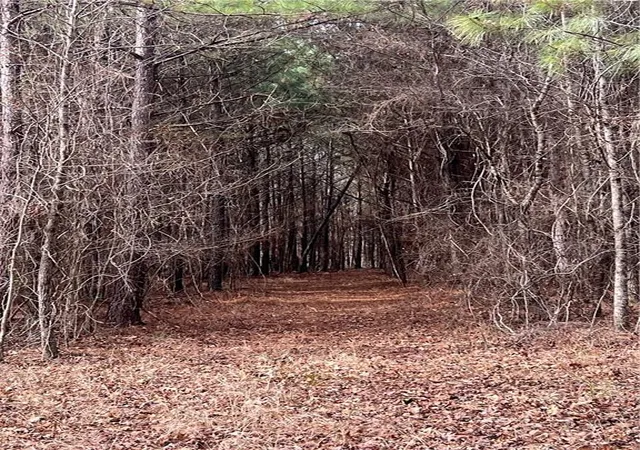 5th image of 325 Everett Springs Rd Ne, Calhoun, GA 30701 | MLS# 7523567