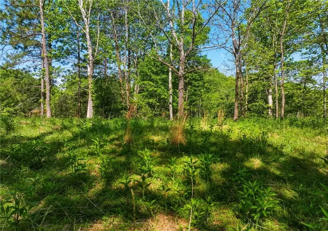 Photo 4 of Land for sale at Lot 1 Summit Dr, Dahlonega, GA 30533 | MLS# 7752718 | Listing updated on 2026-08-21