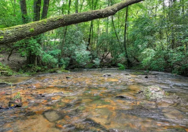 4th image of 20 Bear Trl, Ellijay, GA 30540 | MLS# 7821999