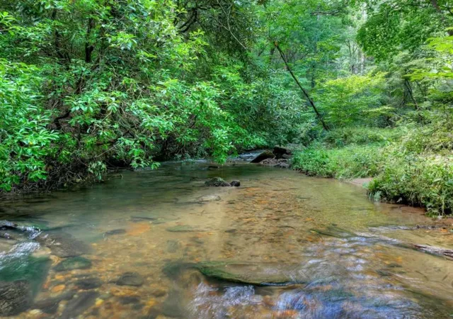 5th image of 20 Bear Trl, Ellijay, GA 30540 | MLS# 7821999