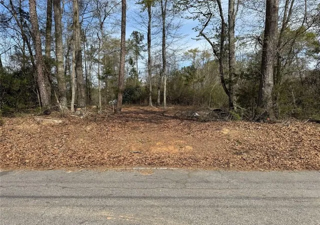 Photo 3 of Land for sale at 738 Old Mineral Springs, Elberton, GA 30635 | MLS# 7752645 | Listing updated on 2026-09-08