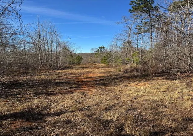 Photo 4 of Land for sale at 738 Old Mineral Springs, Elberton, GA 30635 | MLS# 7752645 | Listing updated on 2026-09-08
