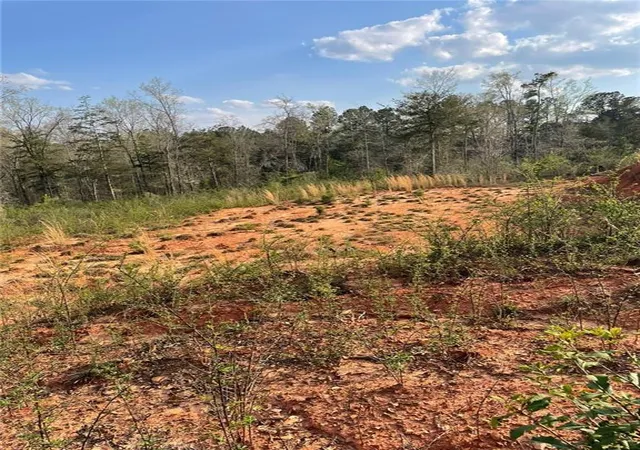 image of 2557 Washington Hwy, Elberton, GA 30635 | MLS# 7745494