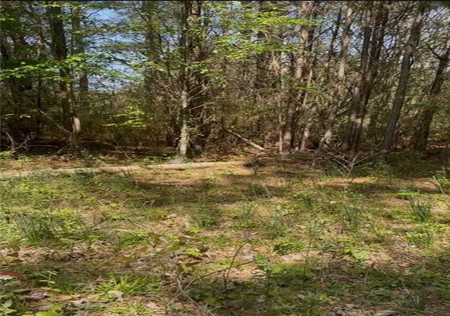 image of 2557 Washington Hwy, Elberton, GA 30635 | MLS# 7745494