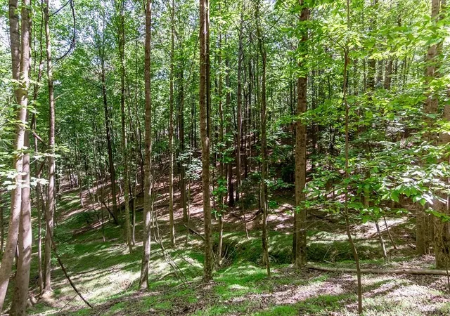 Homes for sale in Ellijay, GA | Lot 26 Estates Dr, Ellijay, GA 30536 | MLS# 7773988