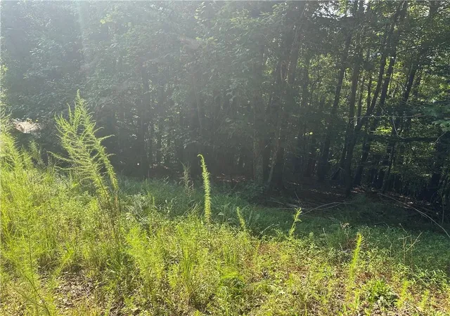 Photo 17 of Land for sale at 5, 10 Riverview Dr And Pine Trail, Dahlonega, GA 30533 | MLS# 7824654 | Listing updated on 2026-09-10