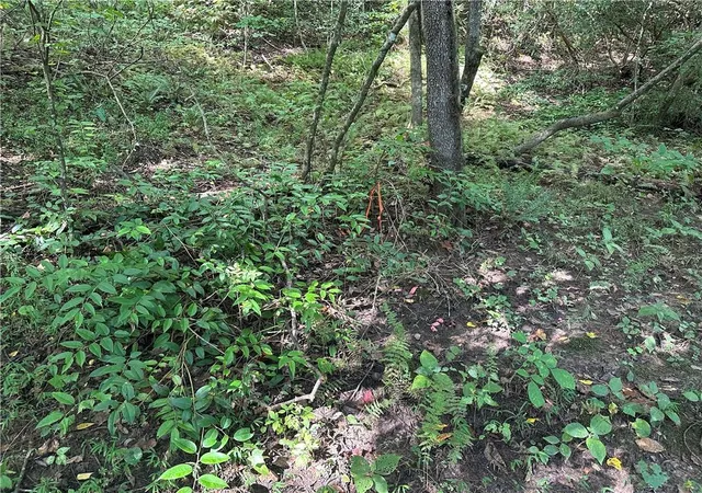 Photo 1 of Land for sale at 5, 10 Riverview Dr And Pine Trail, Dahlonega, GA 30533 | MLS# 7824654 | Listing updated on 2026-09-10