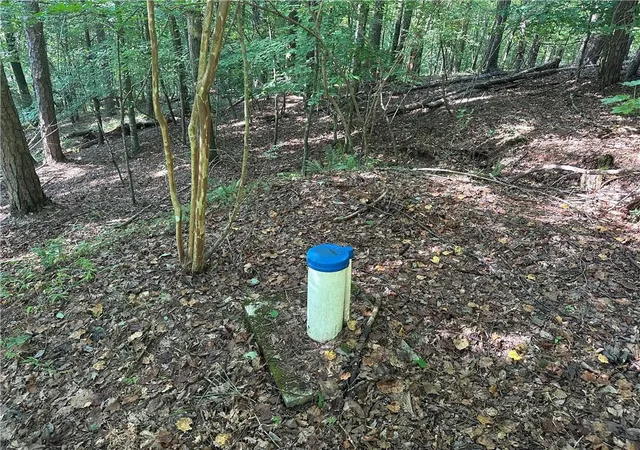 Photo 2 of Land for sale at 5, 10 Riverview Dr And Pine Trail, Dahlonega, GA 30533 | MLS# 7824654 | Listing updated on 2026-09-10