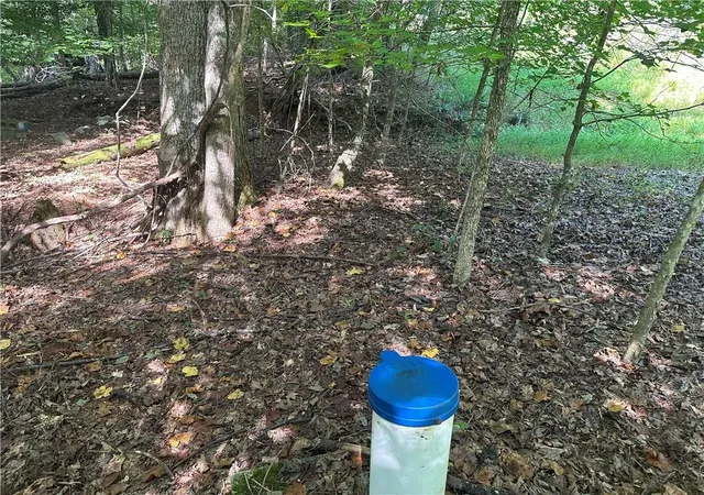Photo 3 of Land for sale at 5, 10 Riverview Dr And Pine Trail, Dahlonega, GA 30533 | MLS# 7824654 | Listing updated on 2026-09-10