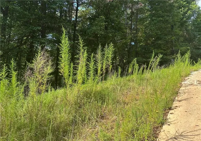 Photo 4 of Land for sale at 5, 10 Riverview Dr And Pine Trail, Dahlonega, GA 30533 | MLS# 7824654 | Listing updated on 2026-09-10