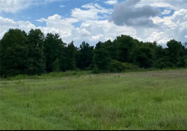 3rd image of 1220 State Route 49, Oglethorpe, GA 31068 | MLS# 7738183