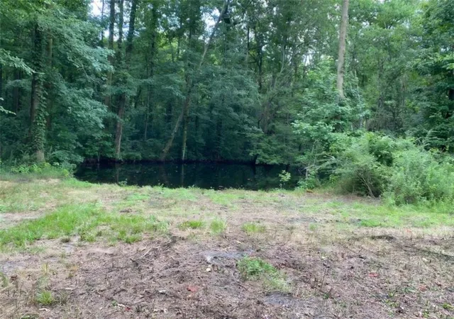 5th image of 1220 State Route 49, Oglethorpe, GA 31068 | MLS# 7738183