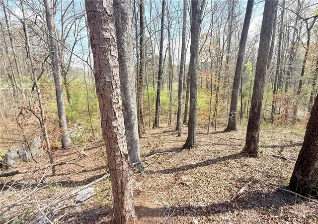 10th image of 5937 Union Church Rd, Braselton, GA 30517 | MLS# 7750023
