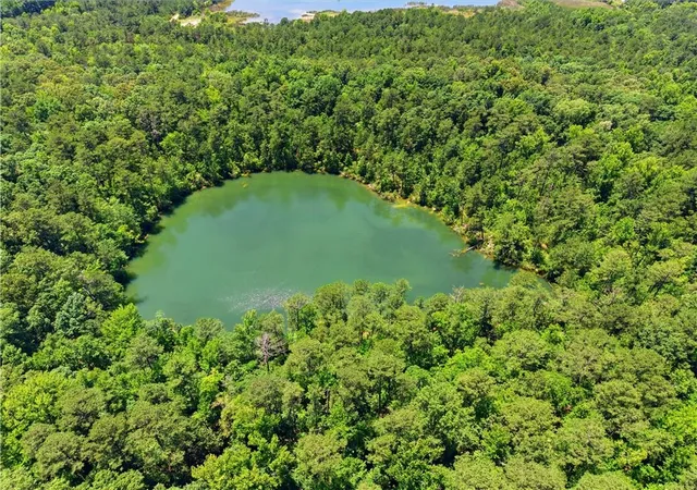 Homes for sale in Mcintyre, GA | 0 Magnolia, Mcintyre, GA 31054 | MLS# 7769224