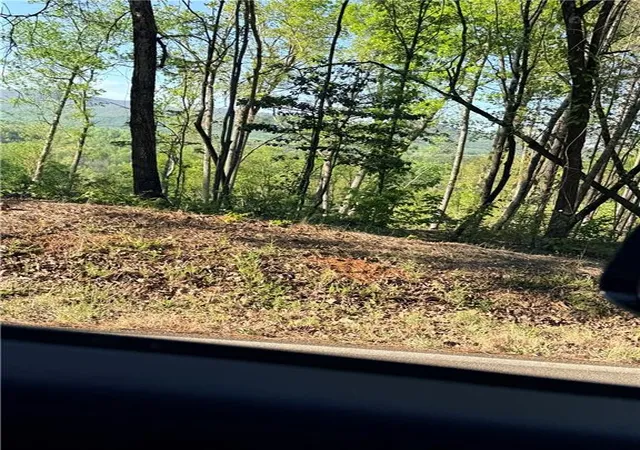 Homes for sale in Ball Ground, GA | Lot 7B Pea Ridge Rd, Ball Ground, GA 30107 | MLS# 7743882
