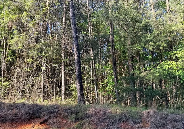 Homes for sale in Ball Ground, GA | Lot 7B Pea Ridge Rd, Ball Ground, GA 30107 | MLS# 7743882