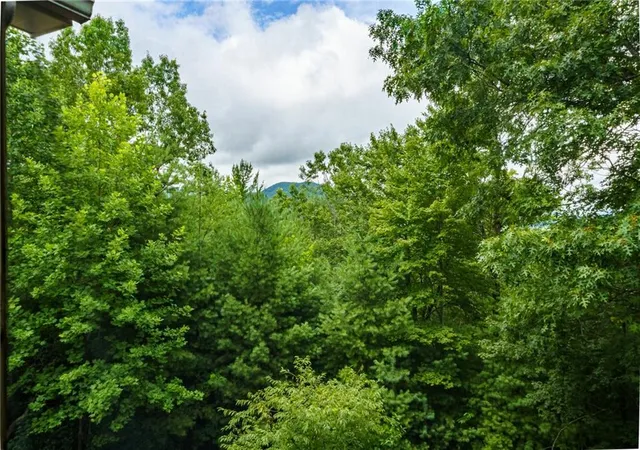 61st image of 51 Hightower Trl, Hiawassee, GA 30546 | MLS# 7800269