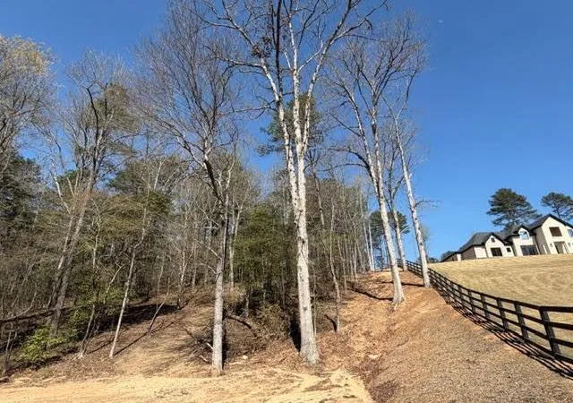 Homes for sale in Dacula, GA | Lot 0 Jack Pittman Road, Dacula, GA 30019 | MLS# 7797536