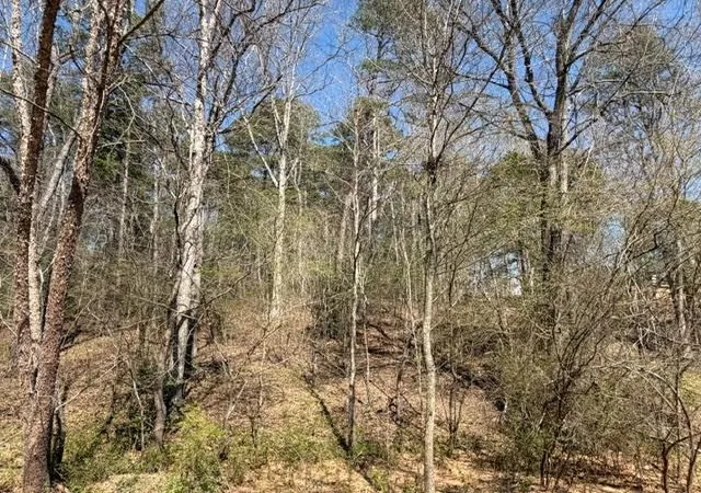 Homes for sale in Dacula, GA | Lot 0 Jack Pittman Road, Dacula, GA 30019 | MLS# 7797536