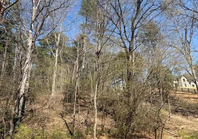 Homes for sale in Dacula, GA | Lot 0 Jack Pittman Road, Dacula, GA 30019 | MLS# 7797536