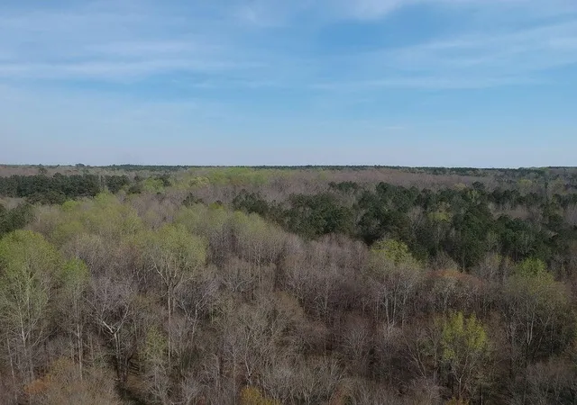 20th image of 0 Cobb Road Road, Covington, GA 30014 | MLS# 7737711