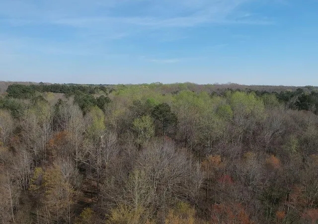 2nd image of 0 Cobb Road Road, Covington, GA 30014 | MLS# 7737711