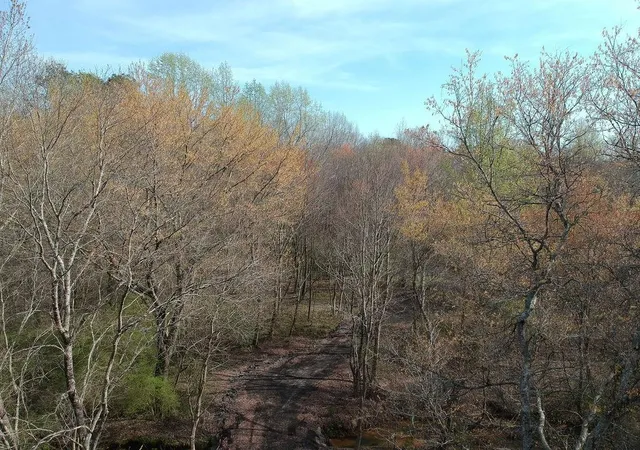 3rd image of 0 Cobb Road Road, Covington, GA 30014 | MLS# 7737711