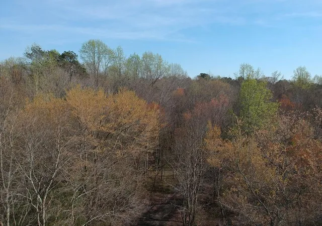 4th image of 0 Cobb Road Road, Covington, GA 30014 | MLS# 7737711