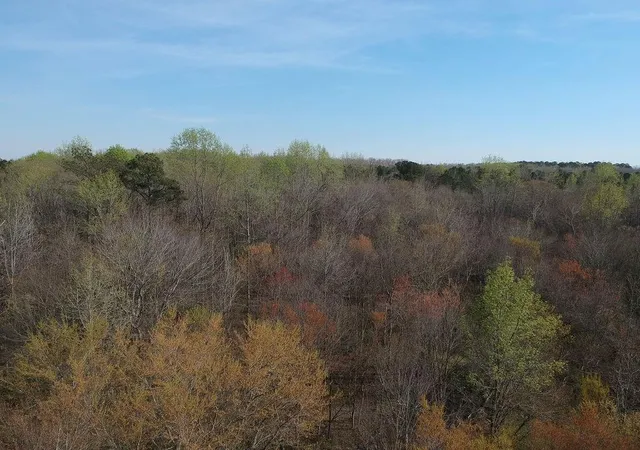 5th image of 0 Cobb Road Road, Covington, GA 30014 | MLS# 7737711