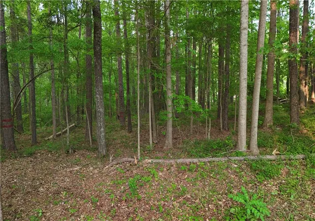 2nd image of 5989 Se Groovers Landing Rd Se, Acworth, GA 30102 | MLS# 7697306