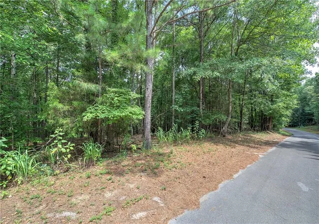 Photo 4 of Land for sale at 0 Weissinger Rd, Kingston, GA 30145 | MLS# 7818404 | Listing updated on 2026-08-10
