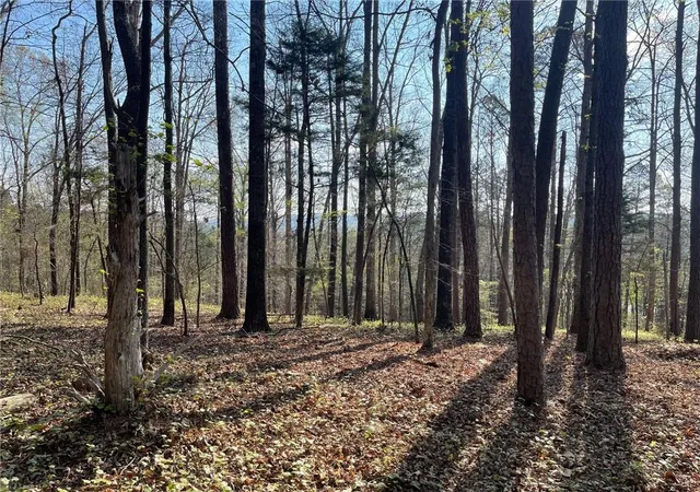 1st image of Tr 1b Chalcrest Wy, Cave Spring, GA 30124 | MLS# 7815191