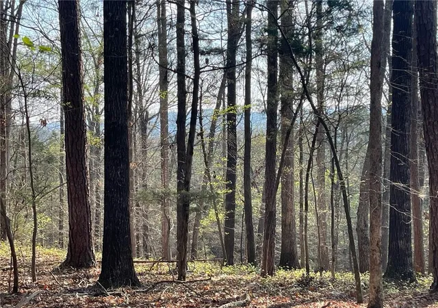 2nd image of Tr 1b Chalcrest Wy, Cave Spring, GA 30124 | MLS# 7815191