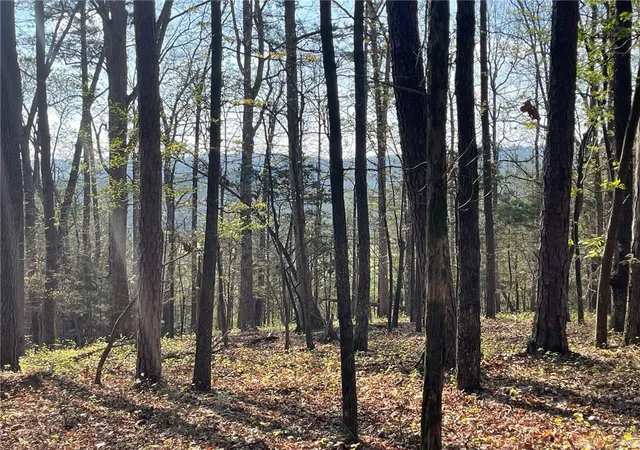3rd image of Tr 1B Chalcrest Wy, Cave Spring, GA 30124 | MLS# 7815191