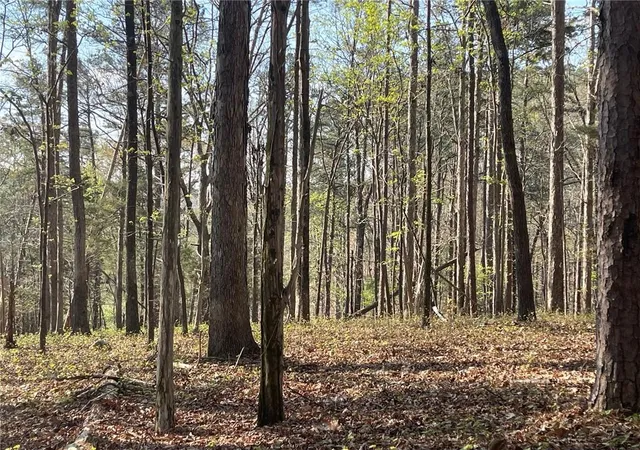 4th image of Tr 1B Chalcrest Wy, Cave Spring, GA 30124 | MLS# 7815191