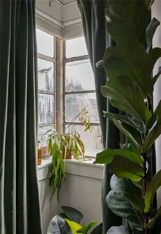 14th image of 589 Auburn Ave Ne, Atlanta, GA 30312