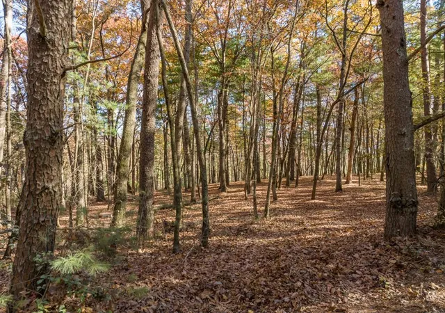 2nd image of Tr 2 Old Anderson Crk, Ellijay, GA 30536 | MLS# 7669147