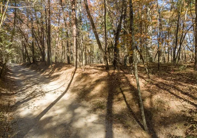 3rd image of Tr 2 Old Anderson Crk, Ellijay, GA 30536 | MLS# 7669147