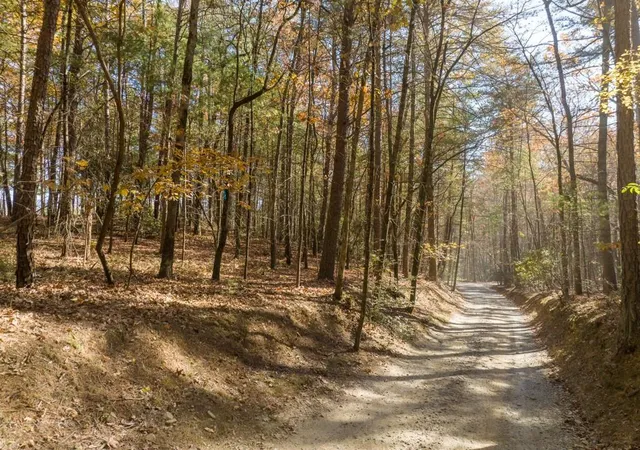 4th image of Tr 2 Old Anderson Crk, Ellijay, GA 30536 | MLS# 7669147
