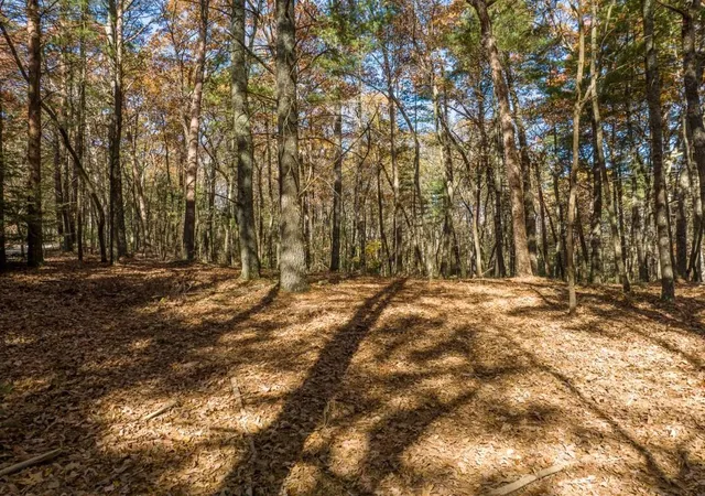 5th image of Tr 2 Old Anderson Crk, Ellijay, GA 30536 | MLS# 7669147