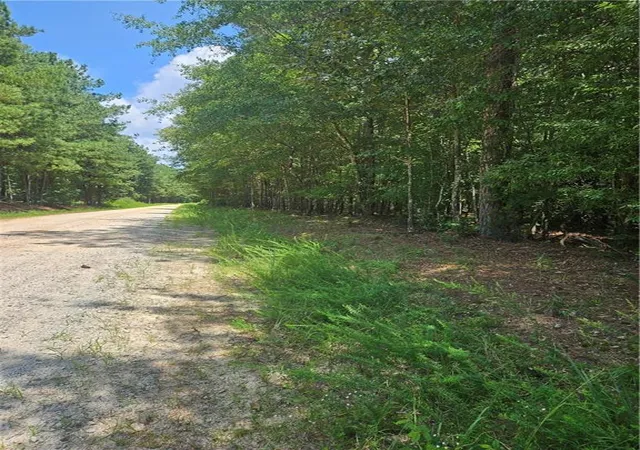 Photo 1 of Land for sale at 292 Mccannon Tract 3a, Carlton, GA 30627 | MLS# 7811129 | Listing updated on 2026-07-28