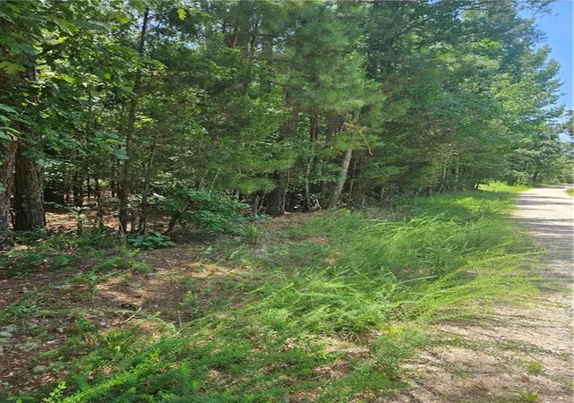 Photo 2 of Land for sale at 292 Mccannon Tract 3a, Carlton, GA 30627 | MLS# 7811129 | Listing updated on 2026-07-28