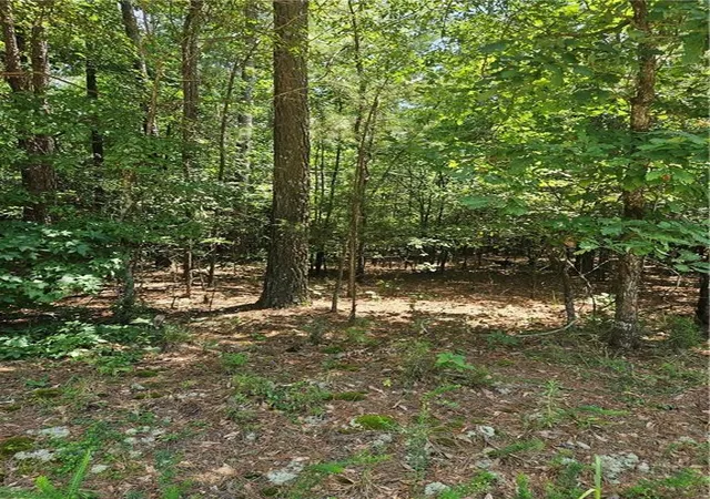 Photo 2 of Land for sale at 292 Mccannon Tract 3a, Carlton, GA 30627 | MLS# 7811129 | Listing updated on 2026-07-28