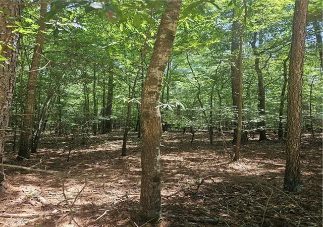 Photo 3 of Land for sale at 292 Mccannon Tract 3a, Carlton, GA 30627 | MLS# 7811129 | Listing updated on 2026-07-28