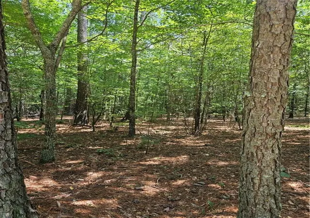 Photo 4 of Land for sale at 292 Mccannon Tract 3a, Carlton, GA 30627 | MLS# 7811129 | Listing updated on 2026-07-28