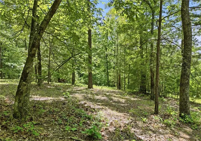 46th image of 1709 Harrington Rd, Ball Ground, GA 30107 | MLS# 7765662
